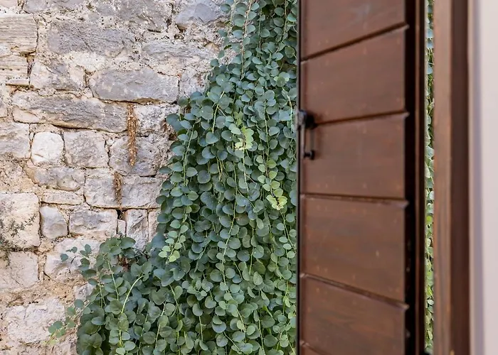 Casa Vlatka-cozy & Appartement Hvar Town